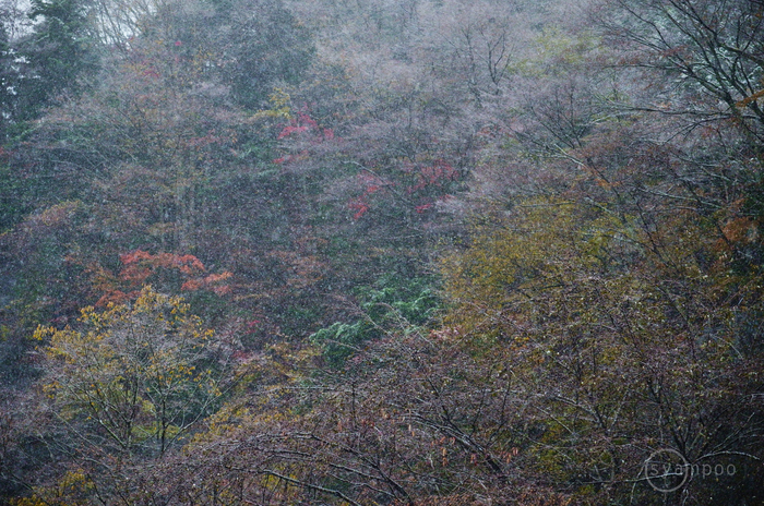 シグマ SIGMA 18-50mm F2.8 DC DN | Contemporary ／ 奈良 天川村～上